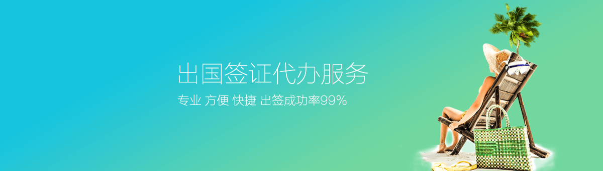 专业 方便 快捷 出签成功率99%